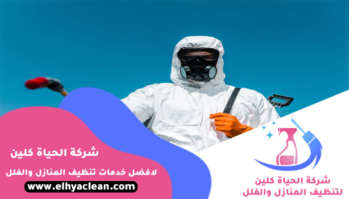 مكافحة حشرات في ابوظبي 0501816457