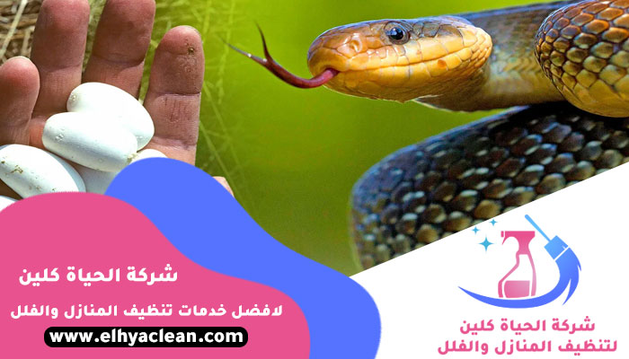 شركة مكافحة الافاعي في الفجيرة